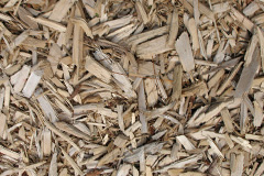 biomass boilers Sand Side